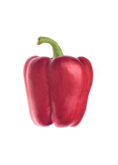 CAPSICUM 01